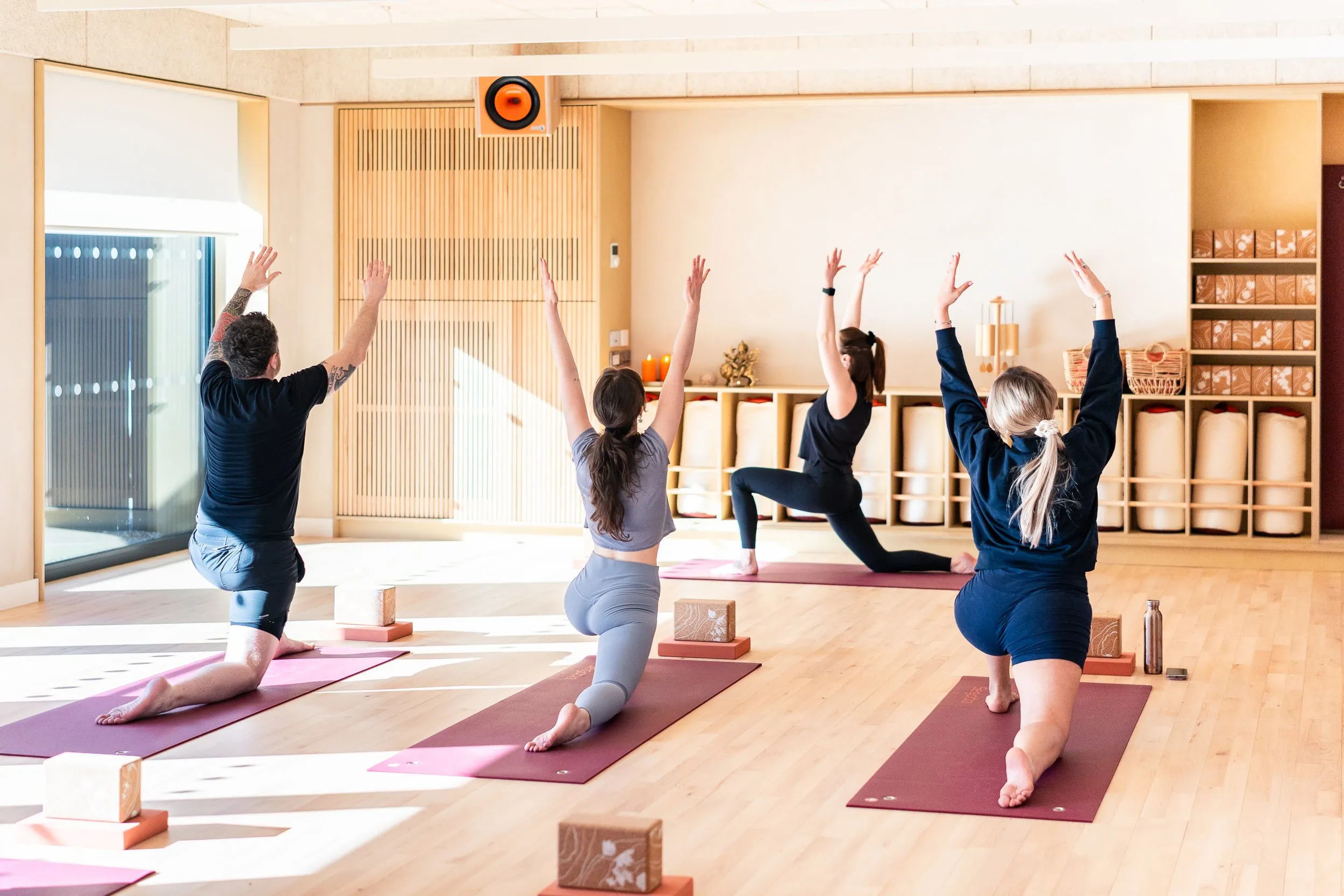 Serene yoga studio with neatly arranged mats and a tranquil atmosphere prepared for a guided group practice